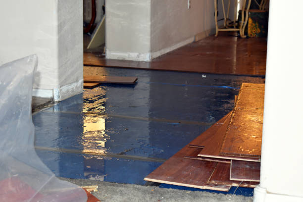 Professional Water Damage technician working in Medford, MA