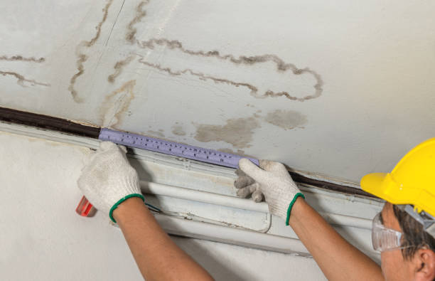 Reliable Water Damage contractor in Medford, MA by Water Damage Irwin